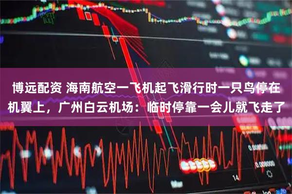 博远配资 海南航空一飞机起飞滑行时一只鸟停在机翼上，广州白云机场：临时停靠一会儿就飞走了