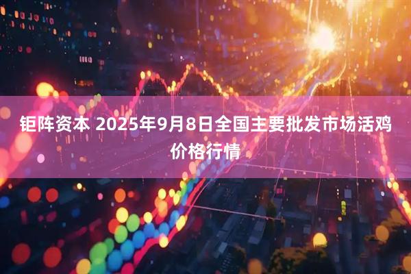 钜阵资本 2025年9月8日全国主要批发市场活鸡价格行情
