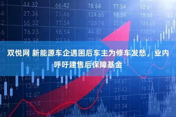 双悦网 新能源车企遇困后车主为修车发愁，业内呼吁建售后保障基金