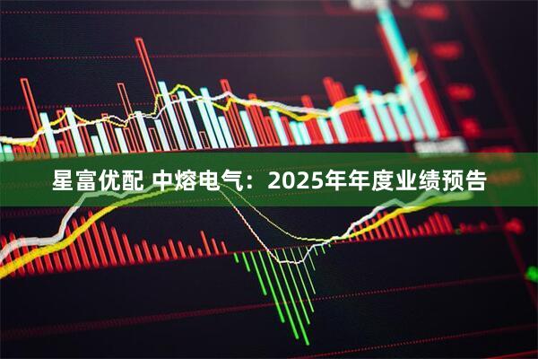 星富优配 中熔电气：2025年年度业绩预告