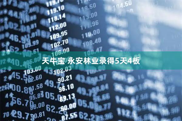 天牛宝 永安林业录得5天4板