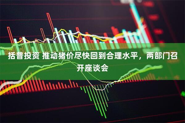 括普投资 推动猪价尽快回到合理水平，两部门召开座谈会